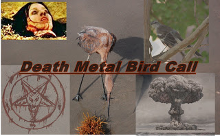 Death Metal Bird Song’s Darren says that the Bird is the Word