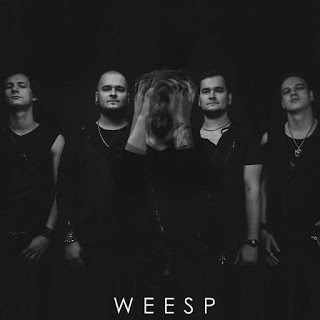 Weesp Releases "Illumination" Video and Announces New Album "Black Sails"