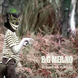 Big Merino – Suburban Wildlife